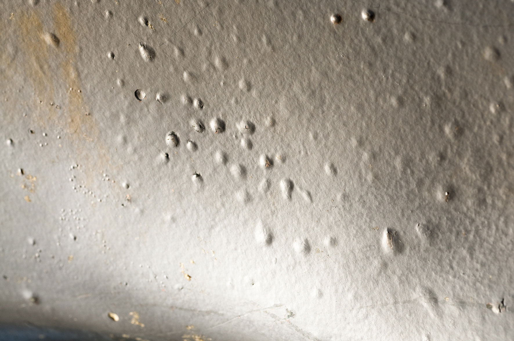 Osmoseblase im Detail