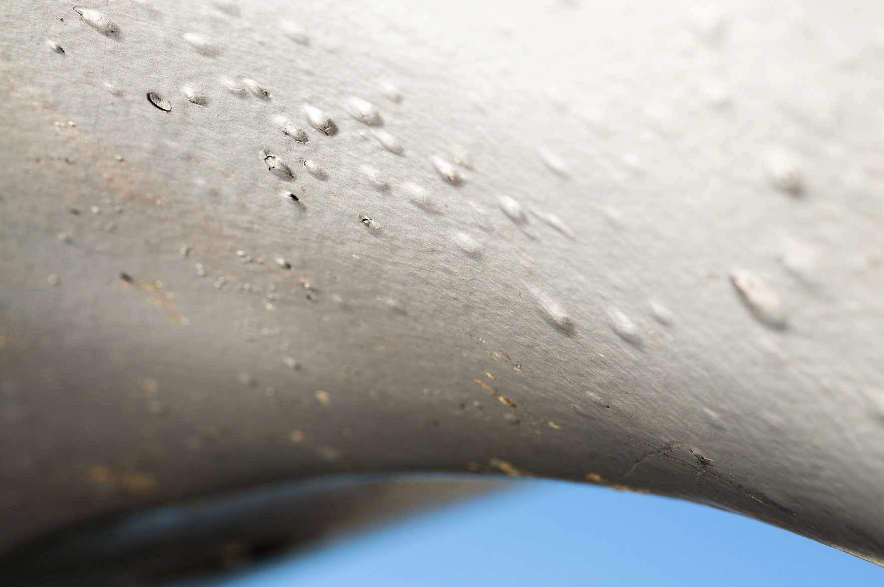 Osmoseblase im Detail